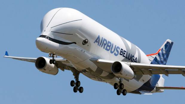 The Airbus Beluga parked on the tarmac, emphasizing its distinctive bulbous shape, with cargo doors open for loading. 