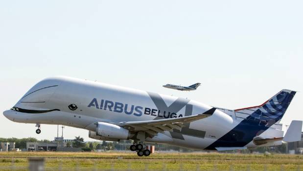 A side view of the Airbus Beluga, showcasing its unique, whale-like fuselage and large cargo bay designed for oversized transport. 