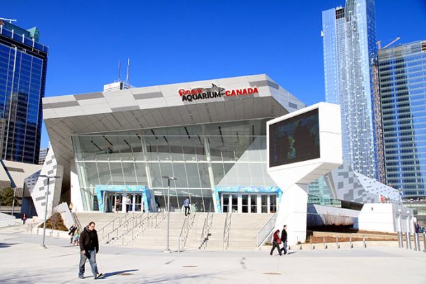 Ripley’s Aquarium of Canada | Crewdaily