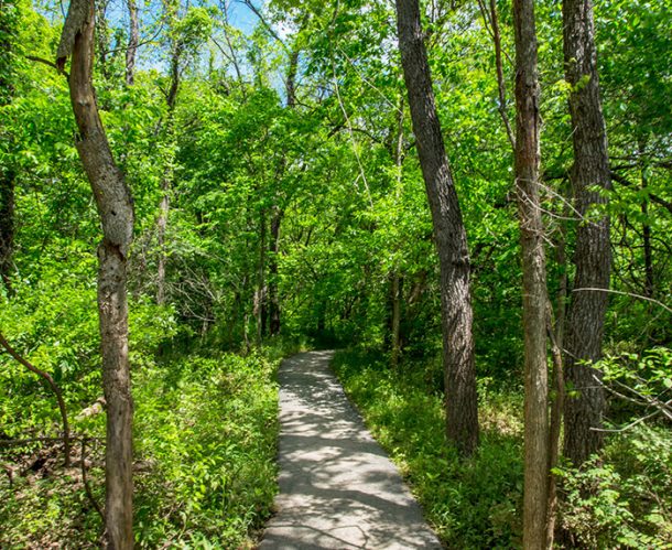 Springfield Conservation Nature Center | Crewdaily