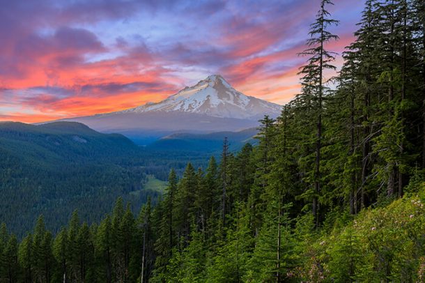 Mount Hood | Crewdaily