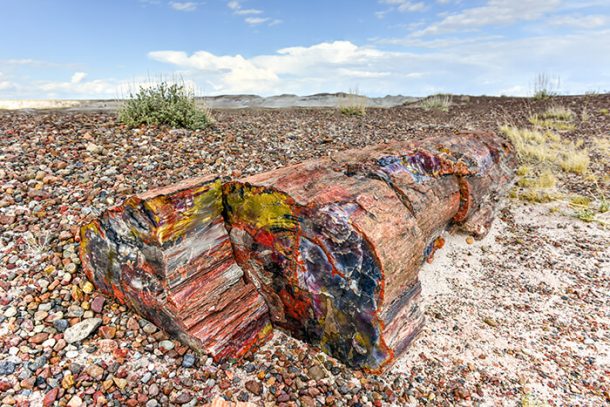 Petrified Forest National Park | Crewdaily