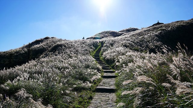 Yangmingshan National Park | Crewdaily