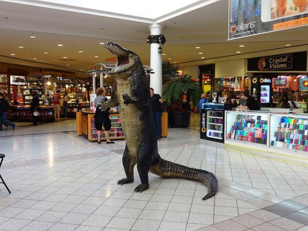 Fun Things Airline Crew Do In Gainesville, Florida