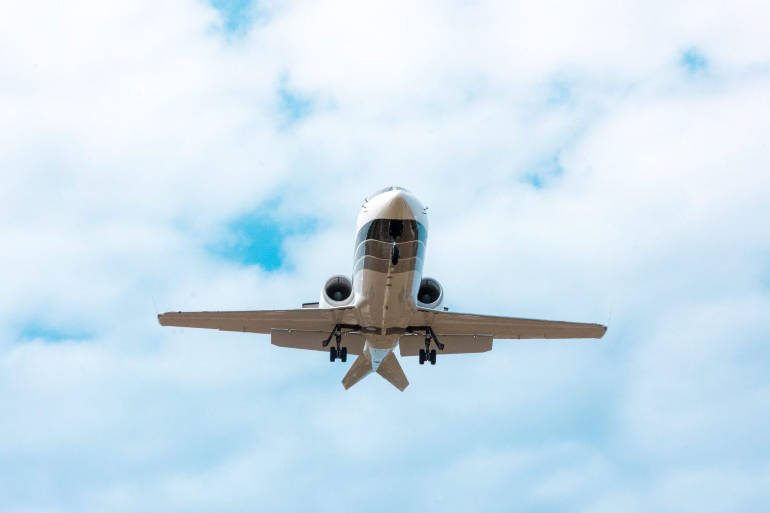 bird strike aircraft landing | Crewdaily